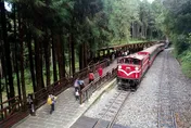 豪雨炸南台灣！阿里山林鐵24日全線停駛　旅客退票方式曝