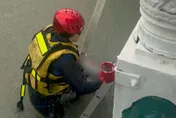 蓮池潭爆恐怖溺水！婦人無呼吸心跳　高雄警急查身分