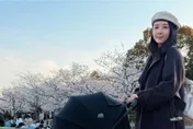 五熊疑潑油日本國寶遭逮　最重刑責恐關5年