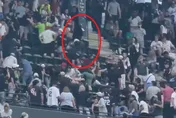 MLB/看台大亂鬥！他「躍下飛踢」攻擊　整個人被拽衣往下丟