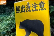「熊害、櫻花防蟲」外國人買單？日媒驚爆「出國稅」調漲遭挪用