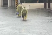 影/豪雨襲屏東多處淹水「道路變小河」　居民：見下雨就怕