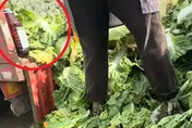 韓國泡菜恐藏甲醛？　食藥署：查無輸台紀錄