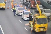 國3北向台中外埔段豬隻掉落車道　駕駛看傻