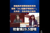 幫沈伯洋出氣！綠議員許淑華質詢青年局「數學不好」慘翻車