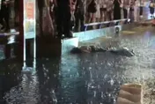 洪崖洞雨夜驚魂！母女疑「踩到帶電積水」倒地　女兒命危搶救中