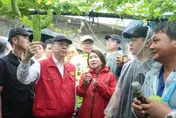 豪雨狂炸中南部農損1.48億　家裡淹水最高可領3萬元補助