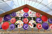 板橋夏日嘉年華8/29府中登場　體驗日本物產及祭典魅力