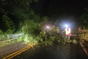 連日大雨釀災！台14線土石、路樹狂瀉　雙向道路全堵
