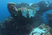 影/綠島5.8強震「黑毛礁」震斷一半！潛水教練直呼心疼