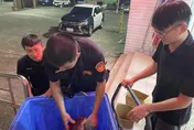 影/高雄梓官暴雨逾30隻烏龜越獄遊街　警民救回「物龜原主」
