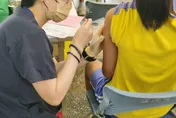 台灣公費HPV疫苗領先日韓　男生接種率首年破8成