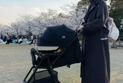 五熊潑油損毀日本國寶！網傳翻譯人員洩判決結果