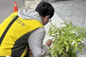 高雄增3例境外登革熱！2女童入境即就醫免社區噴藥