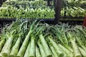 農夫白種！大陸蘭州銷毀11.8噸「染色萵筍」　當局緊急約談業者