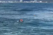 影/宜蘭烏石港賞鯨船遊客突脫救生衣落海　獲救送醫無礙