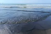 影/墾丁南灣驚現整片海被染黑！　竟是公路局廠商高壓清溝釀禍