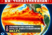 聖嬰秋末達高峰！林得恩曝4特徵：90%創歷史極強