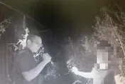 影/車手躲草叢拒捕！嘉義警喊「有蛇」逼出2嫌