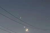 昨晚「金星合月」肉眼可見　絕美畫面曝