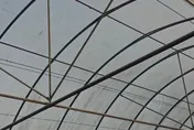 影/雲林西螺弓孝宮煙火落塵毀有機溫室！廟方致歉承諾全賠