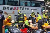 國光客運撞新加坡女　公路局：沒路口停讓、指差確認最高罰9萬