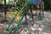 免費玩塞爆！桃園「野趣森林」宣布提前熄燈　今最後營業日