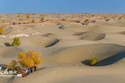 塔克拉瑪干沙漠找到水了！新疆首次挖出「地下古河道」藏淡水