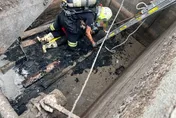 高雄路竹養豬場木板斷裂　76歲場主墜３米高化糞池獲救