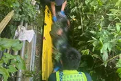 影/嘉義7旬翁割草失足墜2米深溝　警消漏夜循呼救聲救人
