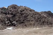 影/高雄近1800坪農地廢木材堆積2.5米高　市府罰572萬元
