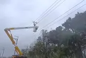 薔琵12級陣風狂虐！中彰慘淪重災區　破萬戶停電摸黑