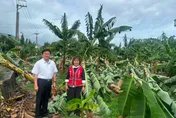 薔琵衝擊花蓮農業！傅崐萁忙勘災　喊話政院啟動災損評估