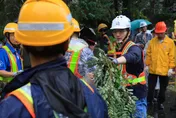 蔣競總辦《颱風大作戰》挺清潔隊　羅智強轟：沈伯洋欺負公務員