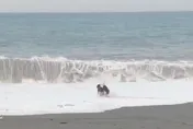 颱風天違規戲水！海巡網路巡查抓太麻里2民眾　最高恐罰25萬