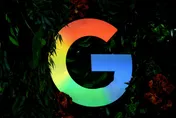 Google芬蘭建AI資料中心遭控違法砍伐25萬棵樹　當局下令停工