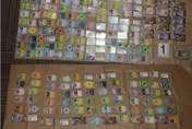 瘋迷寶可夢！22歲男全島跑透透　8天狂盜「500張遊戲卡」淒慘下場曝