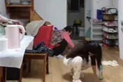 影/兒子連假要帶女友回家！媽媽、姐姐拿牙刷跪地猛刷　只為留下「好印象」