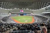 盡快安排！兄弟想在大巨蛋出賽　陳俊秀明年3月有望「炸」蛋