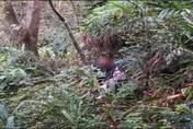 視障翁獨自返家不慎跌落山坡！警「以聲定位」尋獲　送醫幸無大礙