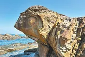 基隆外木山奇石「變色龍」爆紅！　民眾直呼：像我家Q版象龜