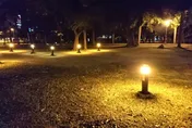 航海王看太多！夜闖高雄中央公園　屁孩划船發誓：會活著回來