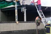 影/救援畫面曝光！高雄洗衣工廠下班前突冒濃煙　8員工困受困消防架梯