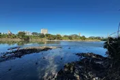 嚇壞！北市景美河濱公園驚見浮屍　遺體腫脹身分待查