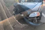 恐怖自撞路樹亡！轎車車頭「炸開全毀」　年節斷魂苗128線