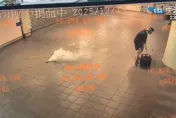 北捷案張文丟煙霧彈　醫曝：煙霧彈恐致肺水腫