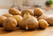ART食安退守一波波！新規定、影響懶人包一次看