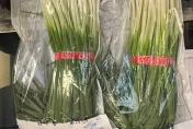 蔥花別放冷凍！營養師揭香氣流失原因與影響