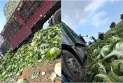 甲醛大白菜恐致癌　5類黑心食材煮熟也沒用