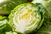 高麗菜纖維竟是倒數？營養師揭排行榜「冠軍是它」